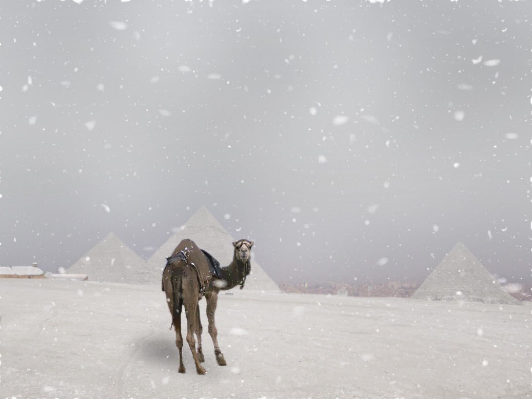 Photoshop Design by m0nkfish for DesignCrowd (Community Contests) | Design #9081200