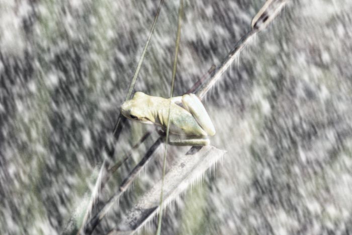 Diseño de Photoshop por Zalgren para DesignCrowd (Community Contests) | Diseño #9081273