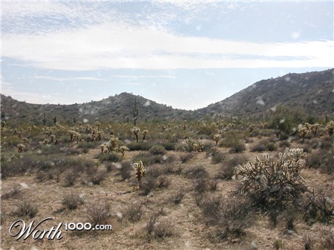 Photoshop Design by azchick