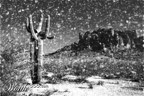Photoshop Design by annette101