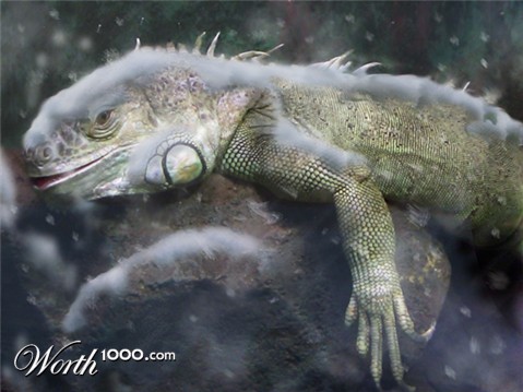 Photoshop Design by bingobaby