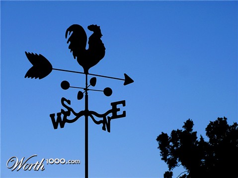 Photography by jodyberry