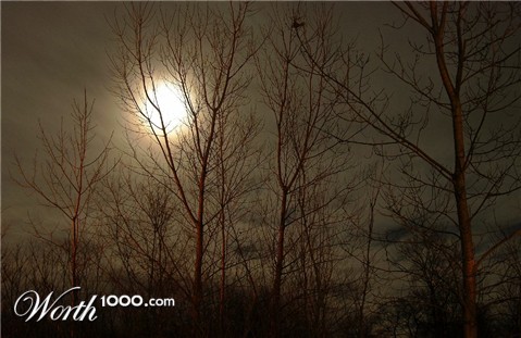 Photography by PsiGraph