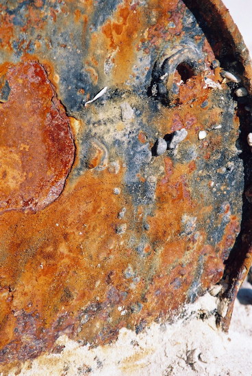 Photography by Seadiver for DesignCrowd (Community Contests) | Design #9075646