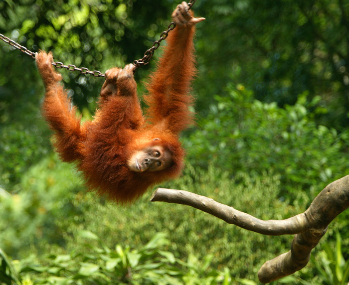 Photographie par wrathe pour DesignCrowd (Community Contests) | Design #9075208