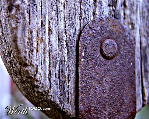 Photography by Dragon60