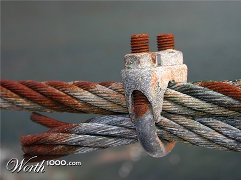 Photography by KarenC