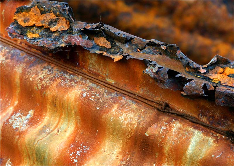 Fotografie von smylie für DesignCrowd (Community Contests) | Design #9075675