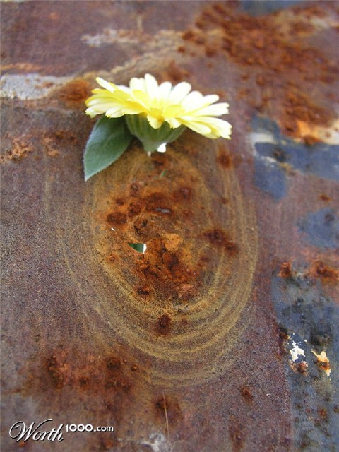 Photography by elenixintaras