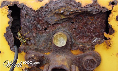 Photography by mysterio