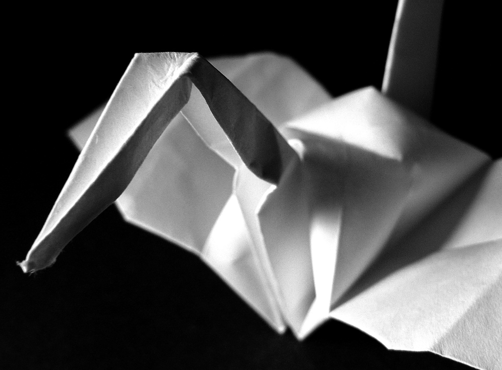 Fotografie von fromthemill für DesignCrowd (Community Contests) | Design #9079386
