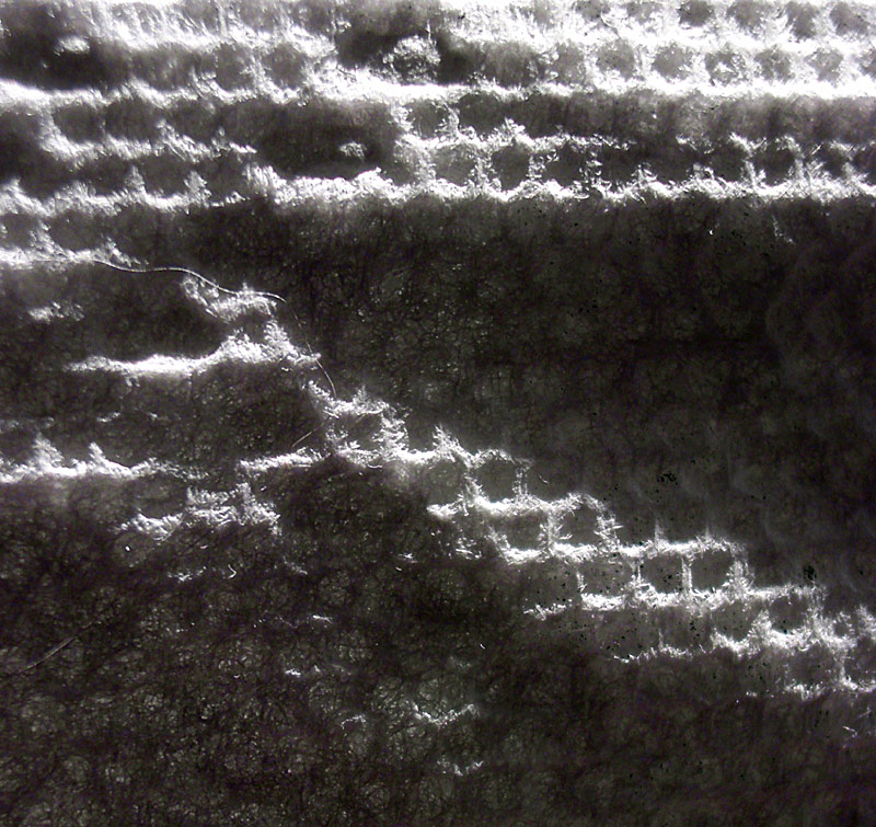 Fotografía por mellian para DesignCrowd (Community Contests) | Diseño #9079461