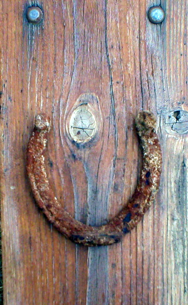 Photography by ShooterSue for DesignCrowd (Community Contests) | Design #9075726