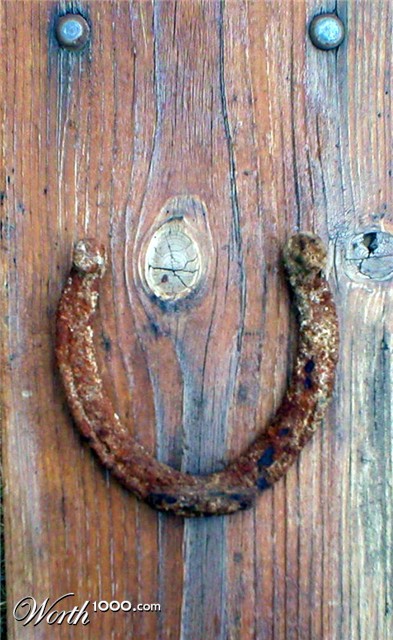 Photography by ShooterSue