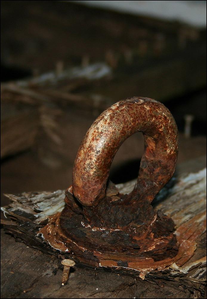 Photographie par mated1976 pour DesignCrowd (Community Contests) | Design #9075701