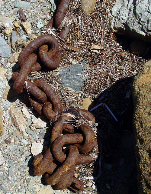 Fotografía por AussieBluey para DesignCrowd (Community Contests) | Diseño #9075702