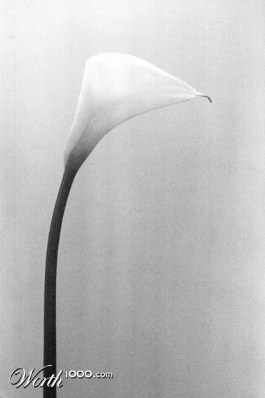 Photography by funcky