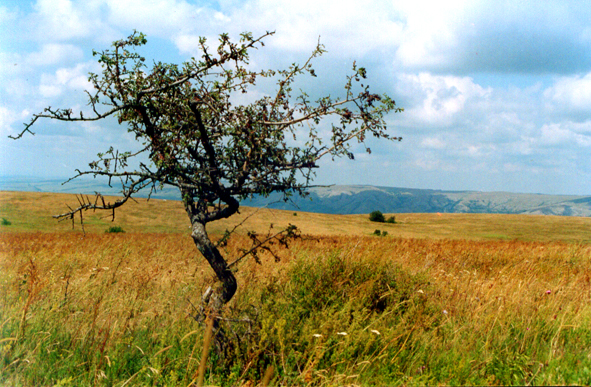 Photography by funcky for DesignCrowd (Community Contests) | Design #9079453