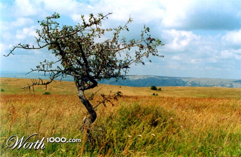 Photography by funcky