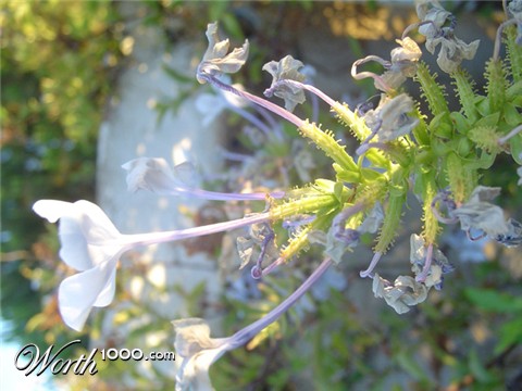 Photography by Flibble