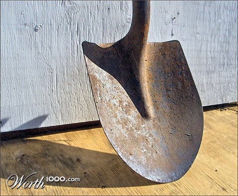 Photography by razzberry