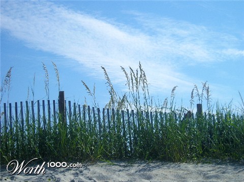 Photography by scsher29