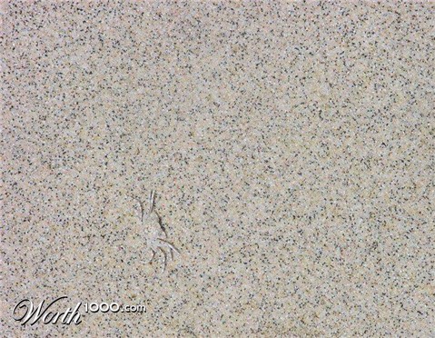 Photography by ginscambia