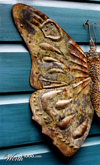 Photography by clloyd