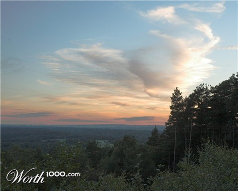 Photography by iharding