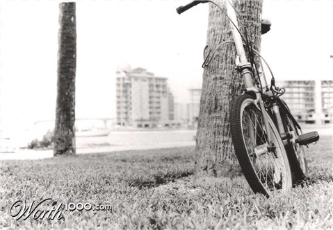 Photography by graphictraffic