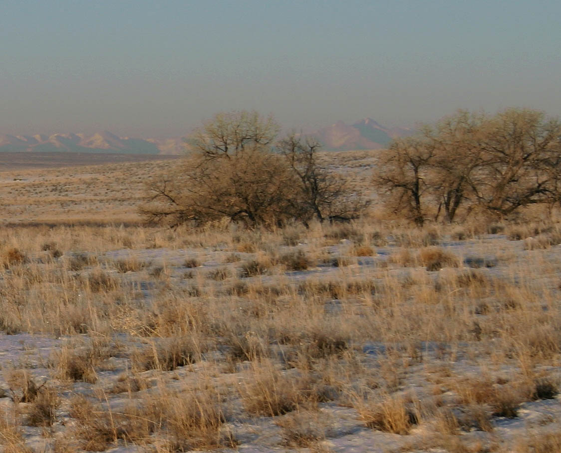 Photography by rdchdwck for DesignCrowd (Community Contests) | Design #9074227