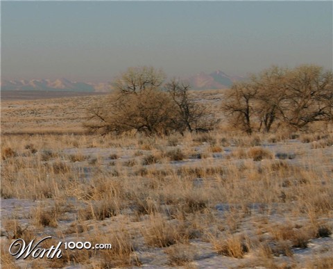 Photography by rdchdwck