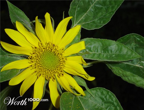 Photography by Megain