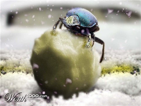 Photoshop Design by nikolaj