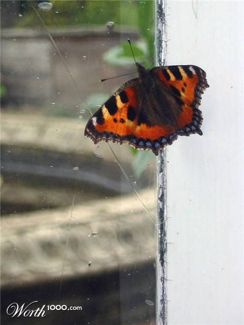 Photography by Craigr1978