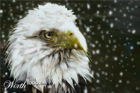 Photoshop Design by bingobaby