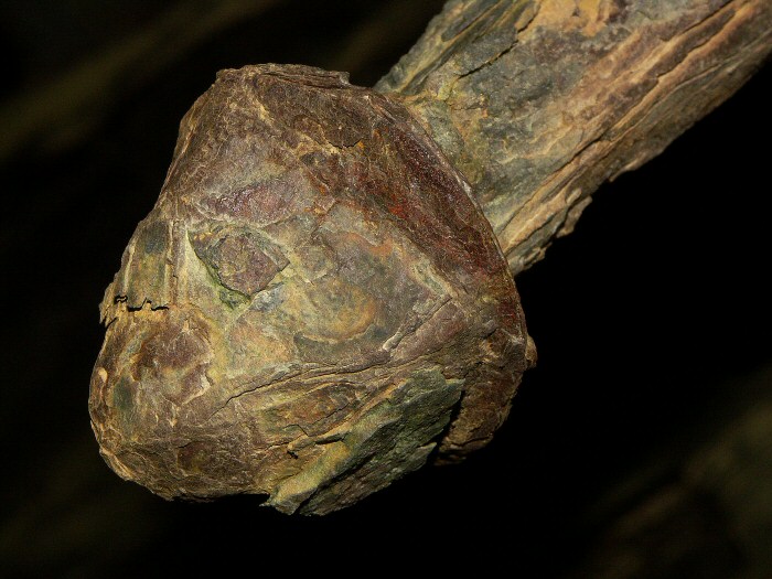 Photographie par wiggster pour DesignCrowd (Community Contests) | Design #9075772