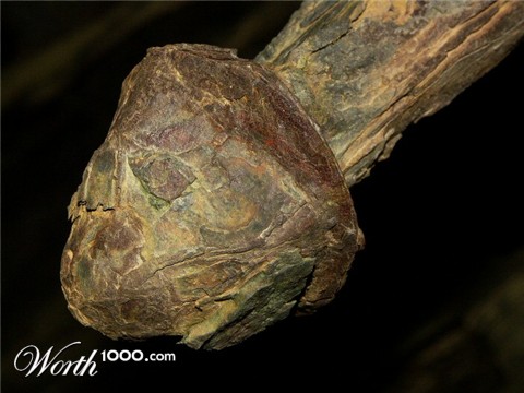 Photography by wiggster