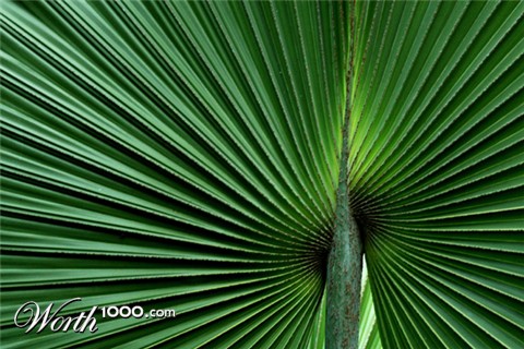 Photography by kimbomac