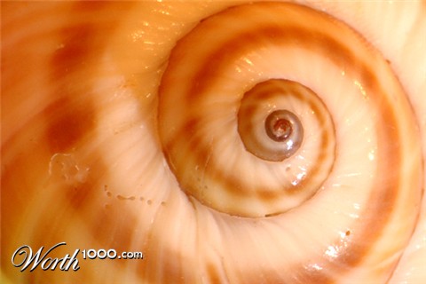 Photography by kimbomac