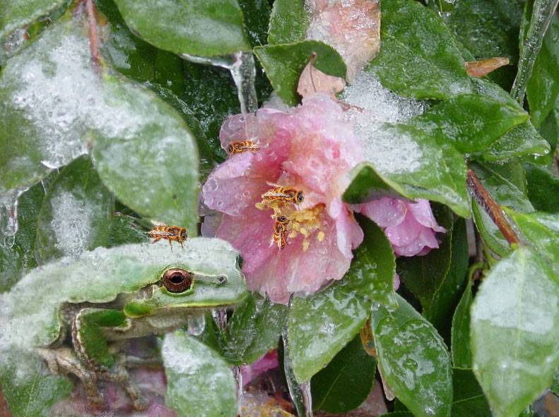 Photoshop Design by sloanyo for DesignCrowd (Community Contests) | Design #9065519