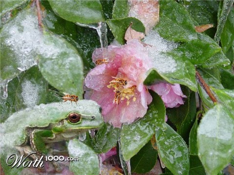 Photoshop Design by sloanyo