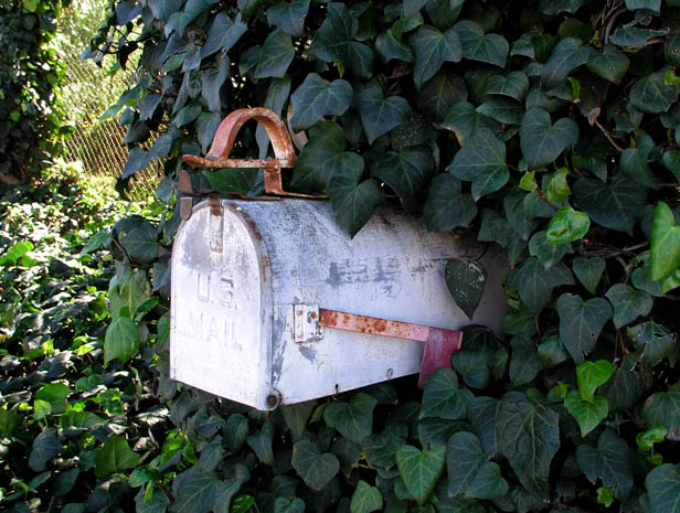 Fotografie von UPUPUP für DesignCrowd (Community Contests) | Design #9075765