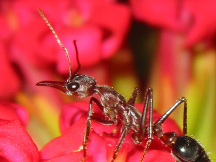 Photography by ffourie for DesignCrowd (Community Contests) | Design #9079484