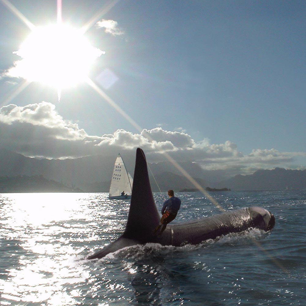 Photoshop Design by yamaneko for DesignCrowd (Community Contests) | Design #9065289