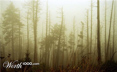 Photography by tigercrosse