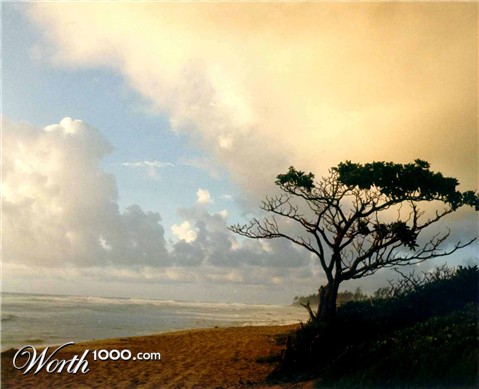 Photography by tigercrosse