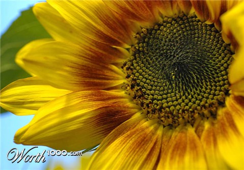 Photography by Marian