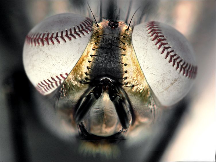 Design Photoshop par pistike pour DesignCrowd (Community Contests) | Design #9065416