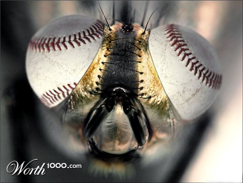 Photoshop Design by pistike